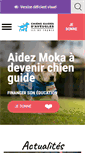Mobile Screenshot of chiens-guides-idf.fr